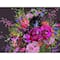 JAM Paper 3.875" x 5" Wild Bouquet Blank Note Card Set, 20ct.